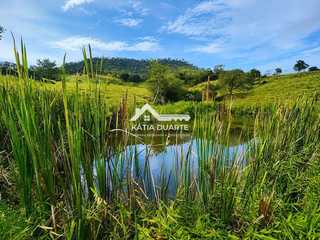 commercial-/-agricultural-area-rural-de-sao-jose-do-rio-pardo-sao-jose-do-rio-pardo-sp